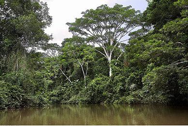 KK官方对战平台 剑指江湖，群侠传奇再现！